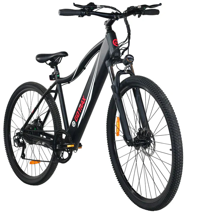 ALPHA XL ELECTRIC BIKE