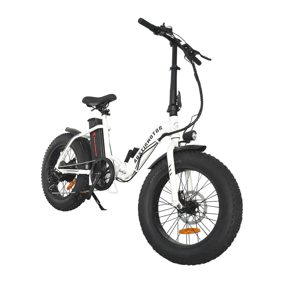 500W Low Step Fat Tire G20