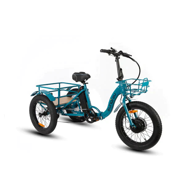 NEW-TRIKE