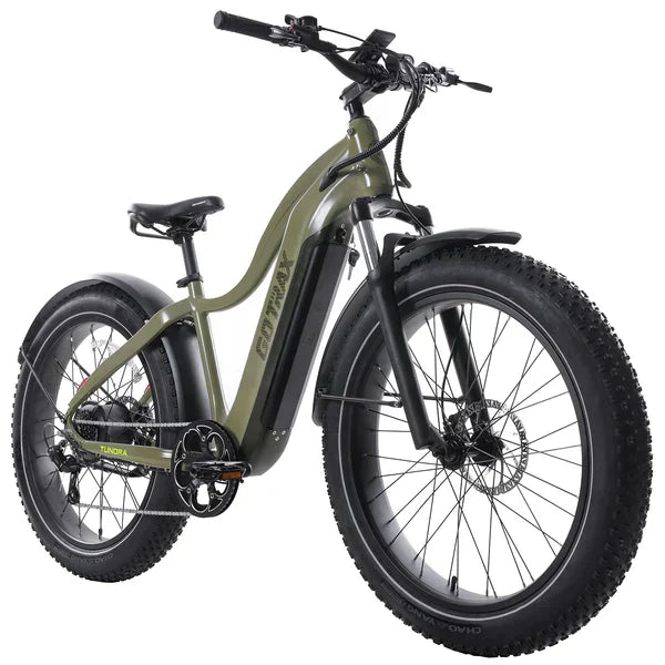 Tundra Electric Bike