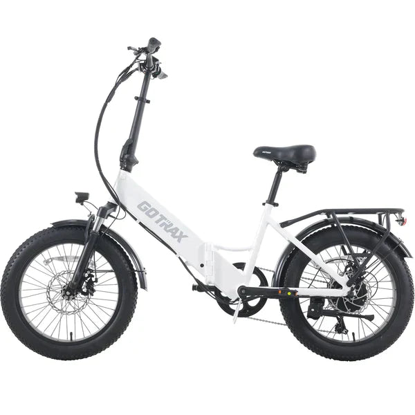 F2 Electric Bike